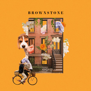 Prima Queen - Brownstone