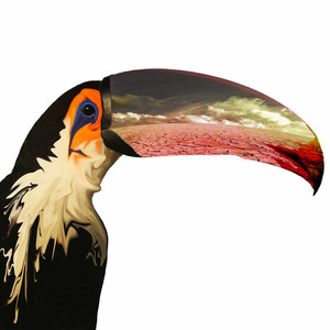 Mount Forel – Costa Rica Mount Forel - Costa Rica