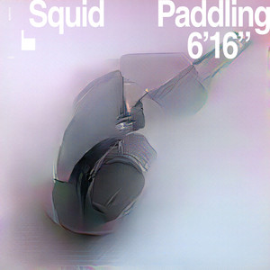 Squid – Paddling Squid - Paddling
