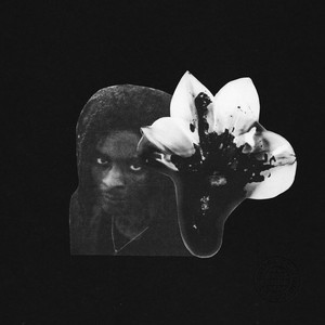 psykhi – White Picket Fence psykhi - White Picket Fence