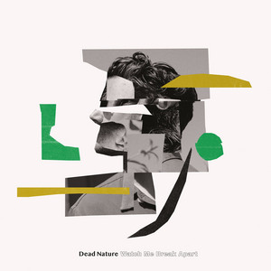 Dead Nature – Borrowed Heart Dead Nature - Borrowed Heart