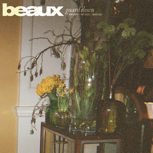 beaux – guard down beaux - guard down