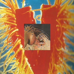 DAMEFRISØR – Do You Think I’m Special? DAMEFRISØR - Do You Think I'm Special?