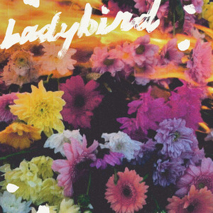 NewDad - Ladybird