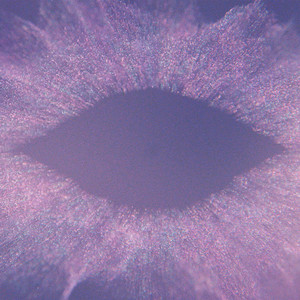 Jon Hopkins, Ram Dass, East Forest – Sit Around The Fire Jon Hopkins, Ram Dass, East Forest - Sit Around The Fire