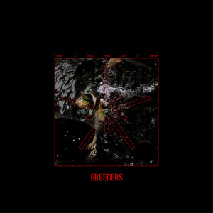 Nrvs – Breeders Nrvs - Breeders