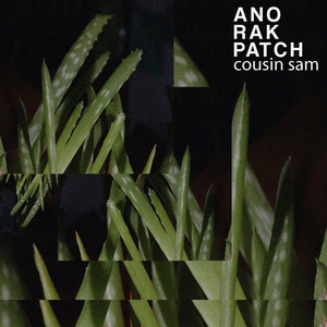 Anorak Patch - Cousin Sam