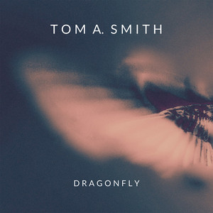 Tom A. Smith - Dragonfly