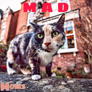 MOSES – Mad (About My Dreams) MOSES - Mad (About My Dreams)