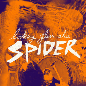 Looking Glass Alice – Spider Looking Glass Alice - Spider
