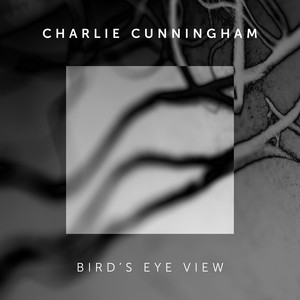 Charlie Cunningham - Bird's Eye View