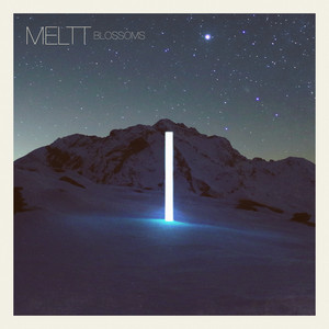 Meltt - Blossoms