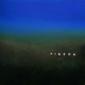 Cloth – Pigeon Cloth - Pigeon