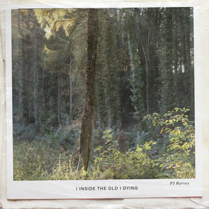 PJ Harvey – I Inside the Old I Dying PJ Harvey - I Inside the Old I Dying
