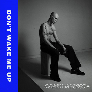 Aspen Forest – DON’T WAKE ME UP Aspen Forest - DON'T WAKE ME UP