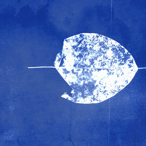 The Snuts – Dreams The Snuts - Dreams