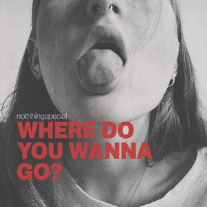 nothhingspecial – WHERE DO YOU WANNA GO? nothhingspecial - WHERE DO YOU WANNA GO?