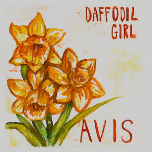 Avis – Daffodil Girl Avis - Daffodil Girl