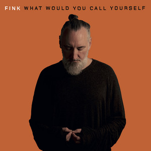 Fink - What Would You Call Yourself