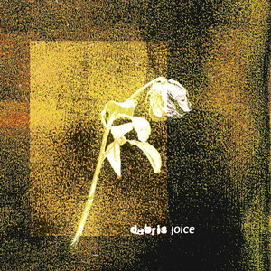 Humane The Moon – The Curb Humane The Moon - The Curb