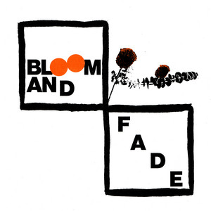 W.H. Lung – Bloom and Fade W.H. Lung - Bloom and Fade