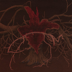 Cardinals - Big Empty Heart
