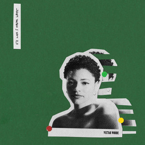 Nectar Woode - When The Rain Stops