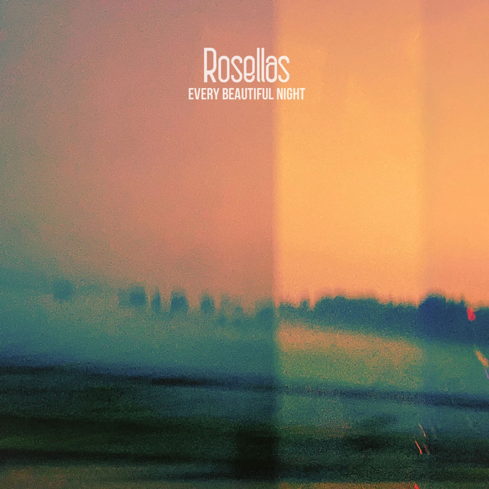 Rosellas / Every Beautiful Night - artwork