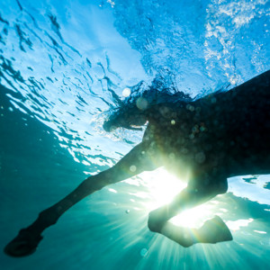 Dream Nails - Organoid