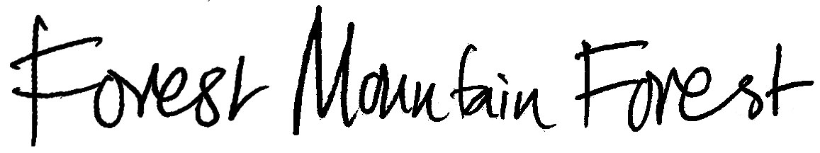 Forest Mountain Forest