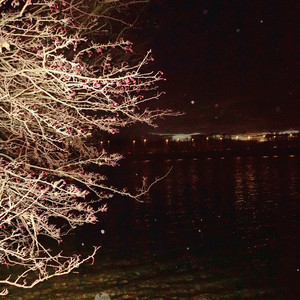 Holly Head – No Country Is An Island Holly Head - No Country Is An Island