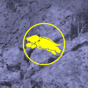 LIFE – The Dollywaggon LIFE - The Dollywaggon