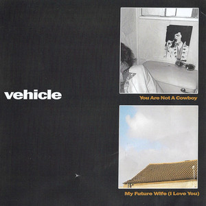 Vehicle - You Are Not A Cowboy
