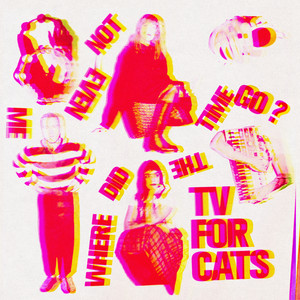 TV For Cats - Where Did The Time Go?
