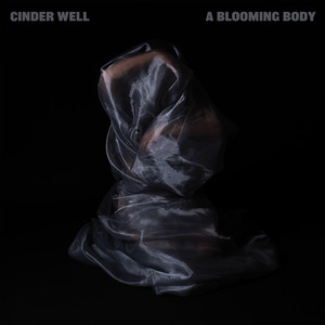 Cinder Well - While the Womb Screams Silently
