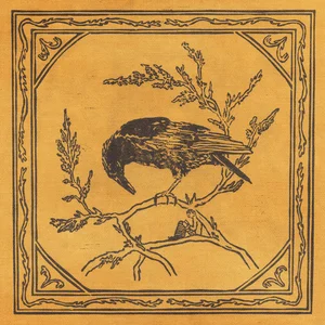 Curiosity Shop – Crows Curiosity Shop - Crows