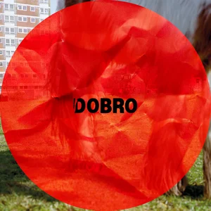 Westside Cowboy – Dobro Westside Cowboy - Dobro