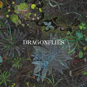 Dragonflies, Dhani Harrison, Nigel Godrich – Setting Sun Dragonflies, Dhani Harrison, Nigel Godrich - Setting Sun