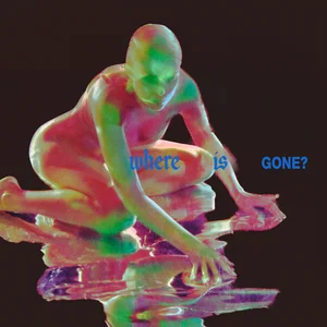 Fontaines D.C. – Where Is Gone? (ft. ROSALIA) Fontaines D.C. - Where Is Gone? (ft. ROSALIA)